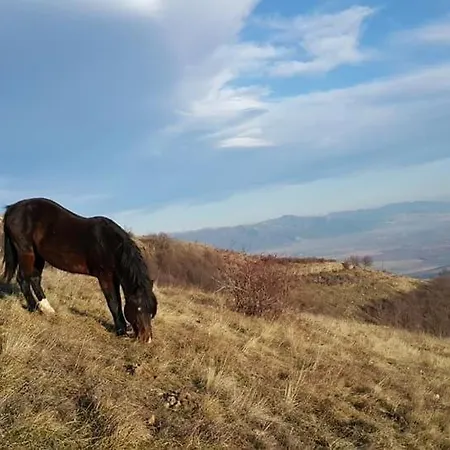 Pensiune Къща За Гости Антонови