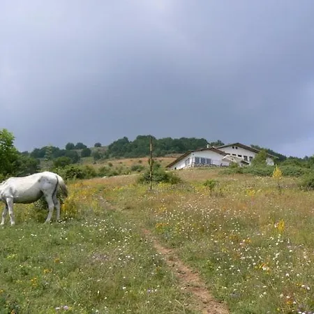 Къща За Гости Антонови Gabarevo