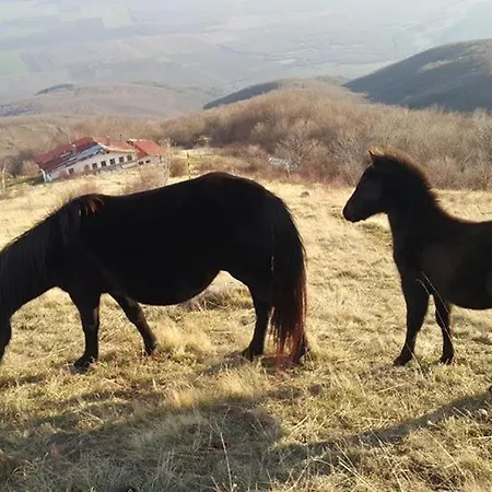 Къща За Гости Антонови Pensiune Gabarevo